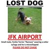 Dog Gone Missing At JFK!